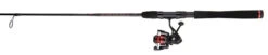 Penn Fierce III Spinning Combos 8 Penn Fierce III Spinning Combos -Fishing Gear Sale penn fierce iii spinning combos 68348.1651244456