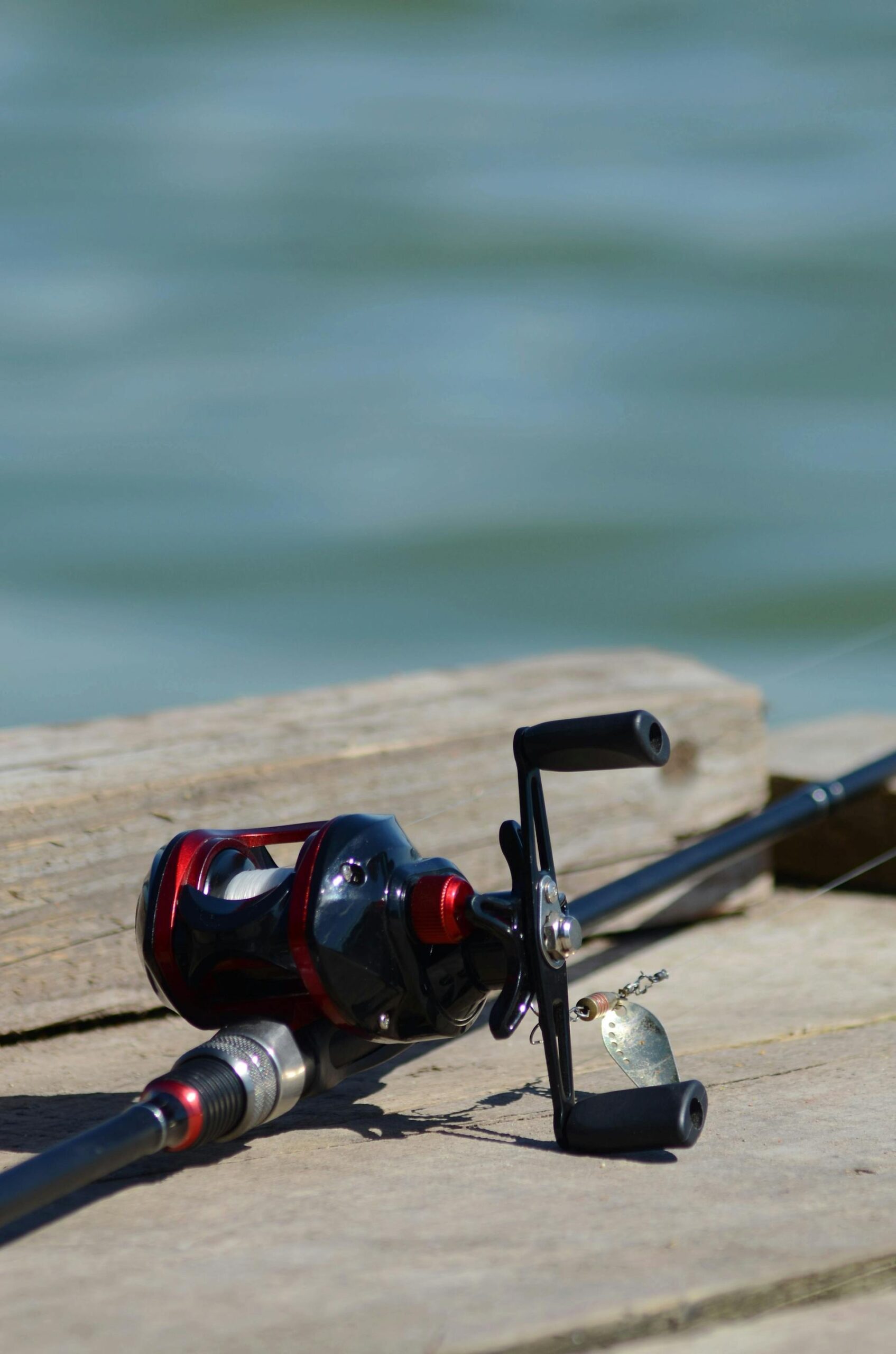 Fishing Gear Sale -Fishing Gear Sale pexels photography lover 1319170749 26950863 scaled