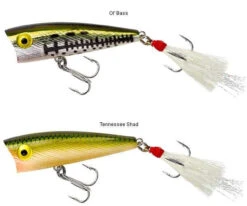 Rebel P50 Teeny Pop-R 2in -Fishing Gear Sale rebel p50 teeny pop r 2in 18331.1651013318