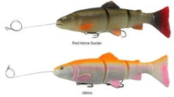 Fishing Gear Sale -Fishing Gear Sale savage gear pre rigged 3d line thru trout lures 89082.1650821678