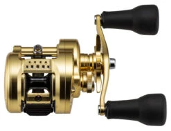 Shimano Calcutta Conquest MD Baitcasting Reels -Fishing Gear Sale shimano calcutta conquest md baitcasting reels 25316.1674255441
