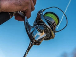 Shimano Stradic FL Spinning Reels -Fishing Gear Sale shimano stradic fl spinning reels 33628.1651246853