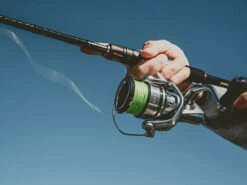 Shimano Stradic FL Spinning Reels -Fishing Gear Sale shimano stradic fl spinning reels 61058.1651246852