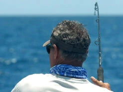 Shimano Terez Conventional Rods -Fishing Gear Sale shimano terez conventional fishing rods 83511.1661538644